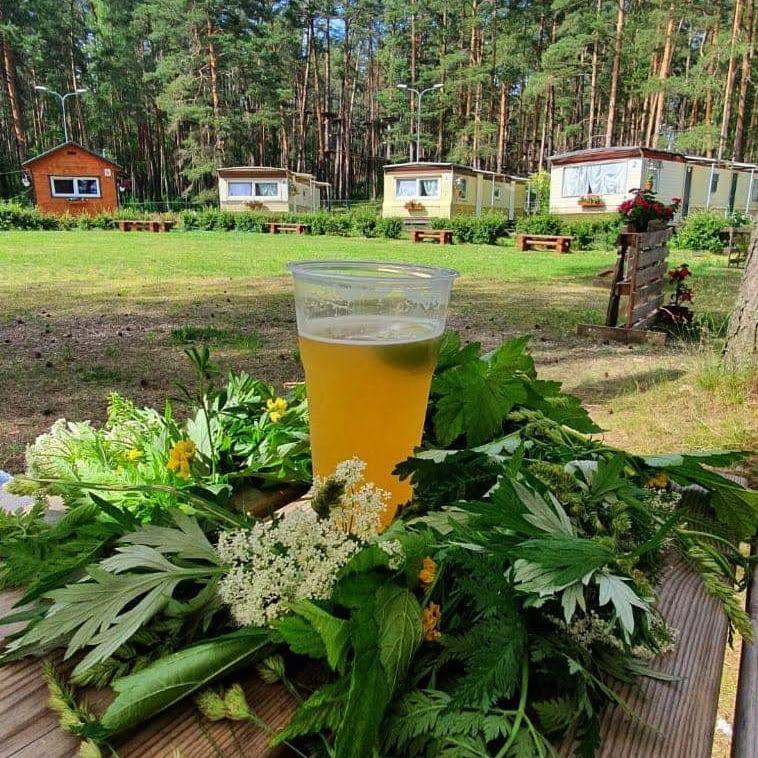Chill&Grill Camping Daugavpils Bagian luar foto